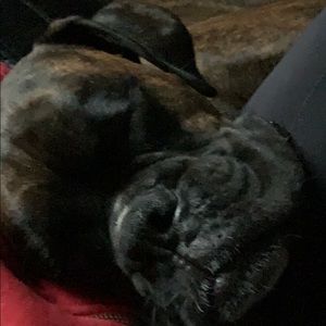 Meet your Posher, Christine